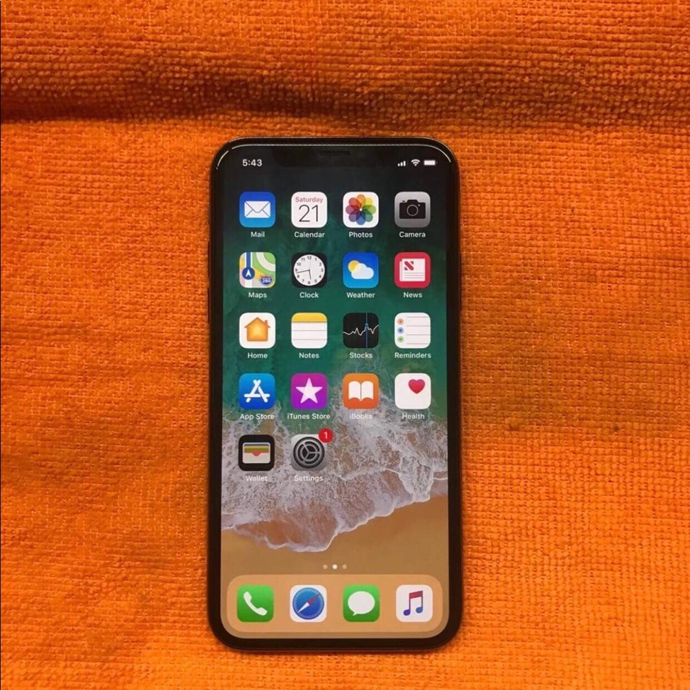 iPhone X